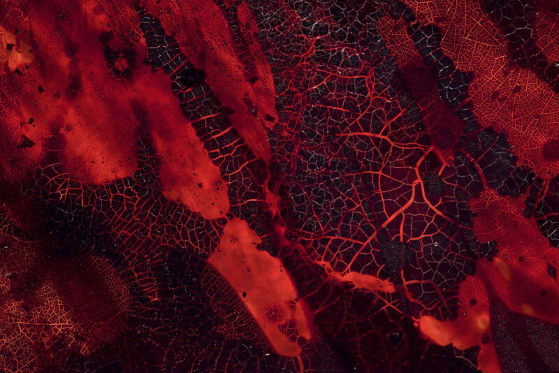 Blood Artist