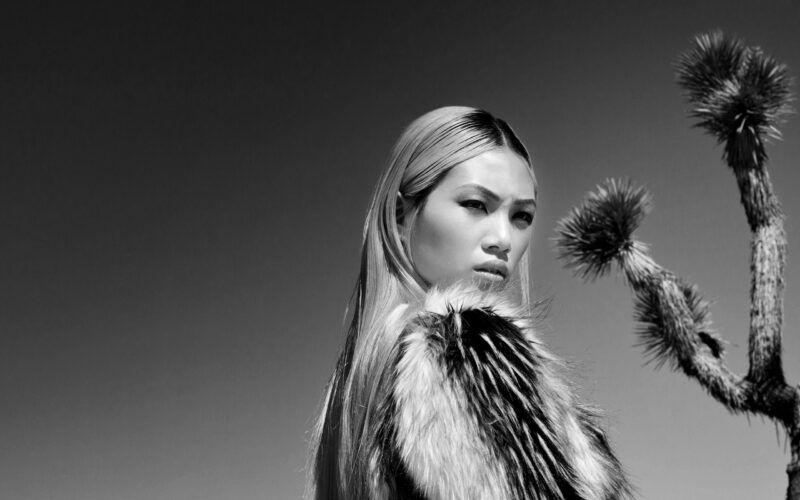 HIGH FASHION, <br>LOW DESERT.