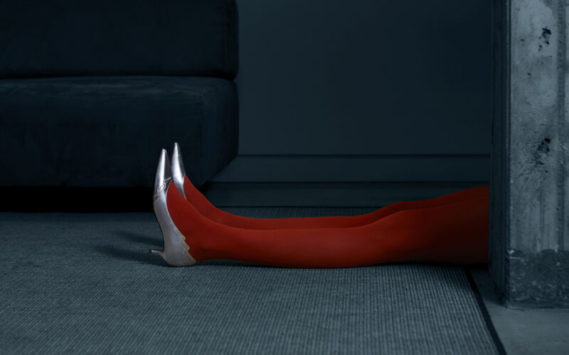 THERE WAS A YOUNG LADY WHO LIVED IN HER SHOES